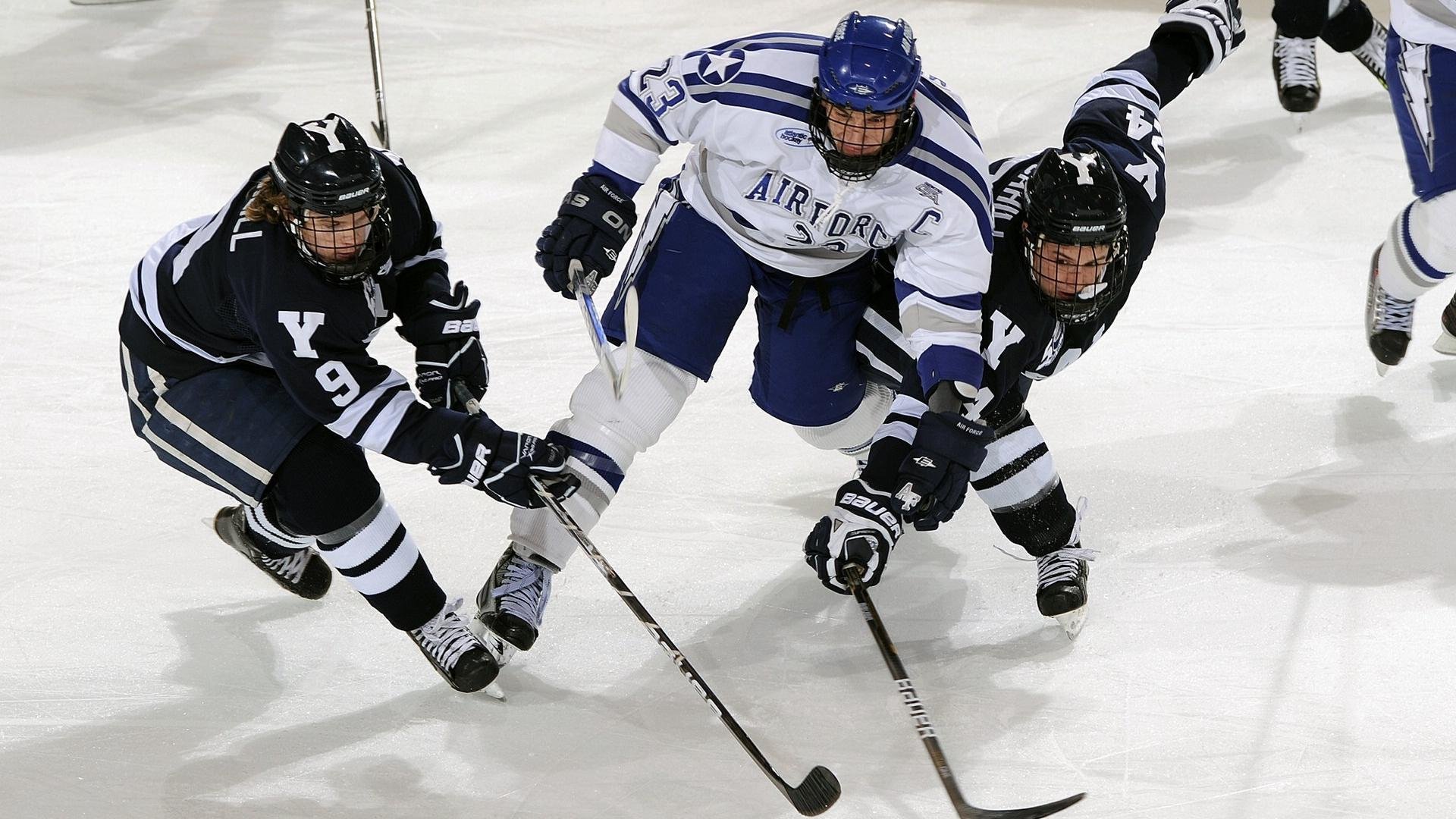 AYX GAMING-“球迷投稿：最感动的篮球瞬间大盘点”，篮球感人视频